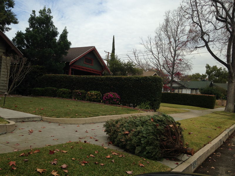 Halloween (1978) Filming Locations - The Infamous Hedge Michael Was Standing Behind